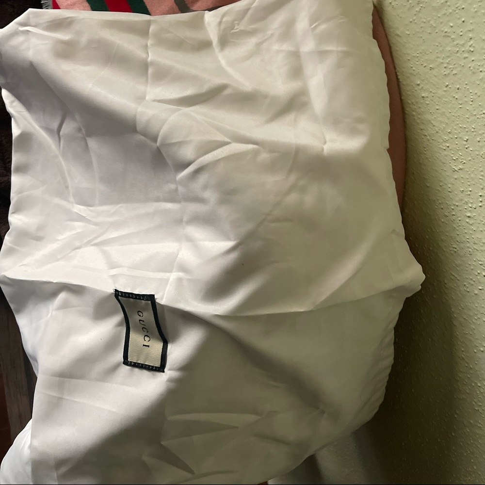 G-dust bag